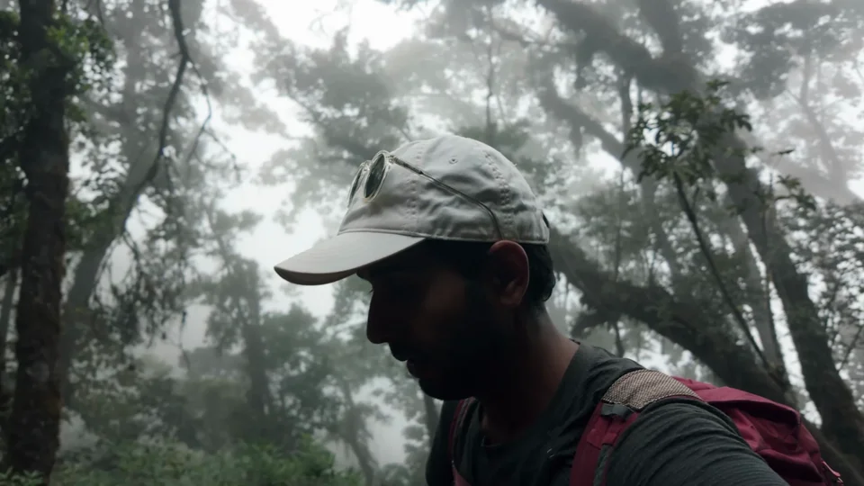Hiking through misty cloud forest on the trail to Acatenango base camp, Guatemala