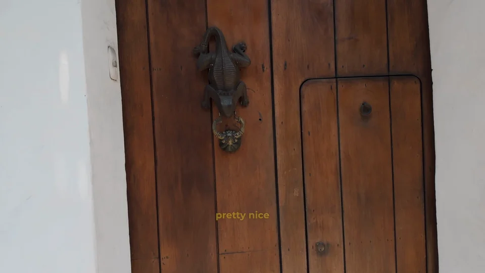 Iguana shaped door knocker on a wooden door in Cartagena's old town