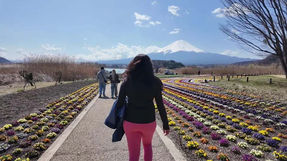 Walking through the flower fields at Oishi Park with Mount Fuji ahead