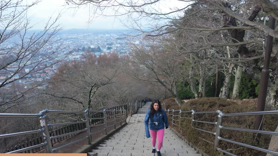Walking down the steps from Chureito Pagoda with the city view below