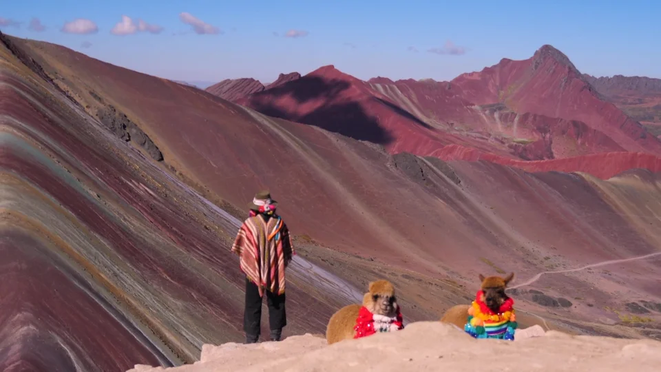 Local guide with decorated llamas at Rainbow Mountain, Peru