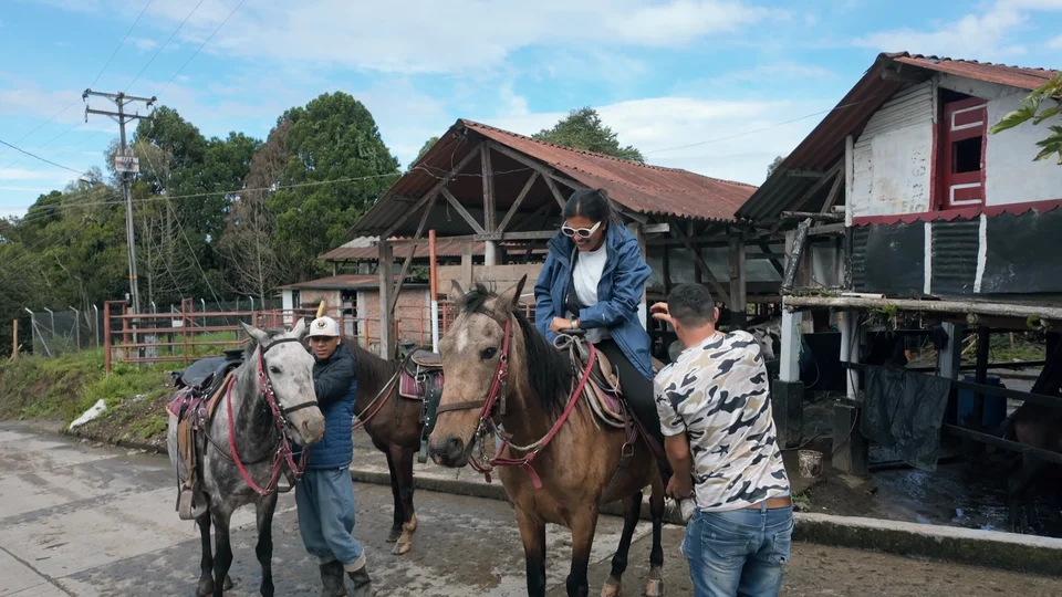 Horses outside Finca El Ocaso coffee farm near Salento, Colombia