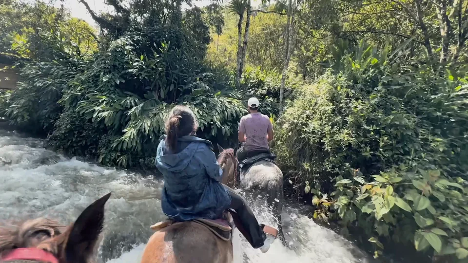 Horse riding through a river near Salento, Colombia