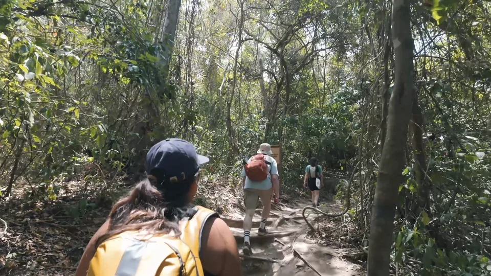 Hiking the jungle trail in Tayrona National Park, Colombia
