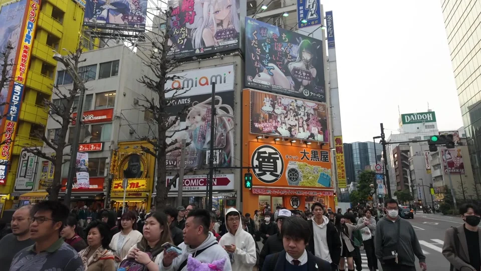 Neon billboards over the crossing in Akihabara