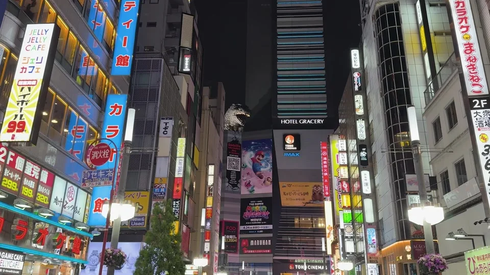 Neon streets of Kabukicho at night, Shinjuku