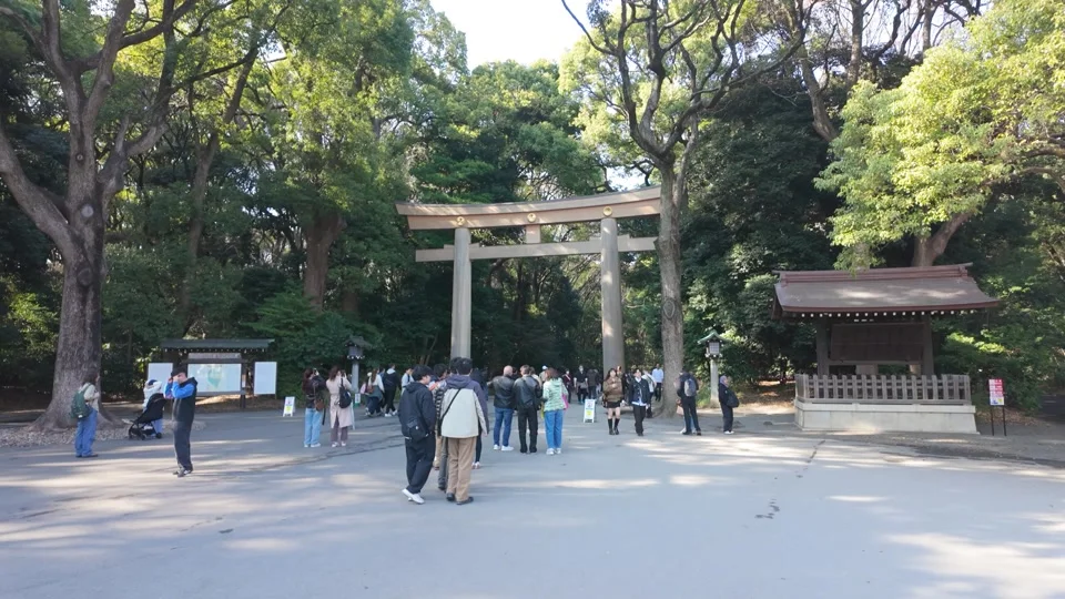 Torii gate at Meiji Jingu Shrine