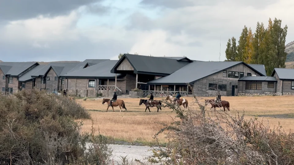 Hotel Las Torres with horses in the grassland outside, Torres del Paine